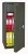 Сейф Safetronics NTR-100MLGs